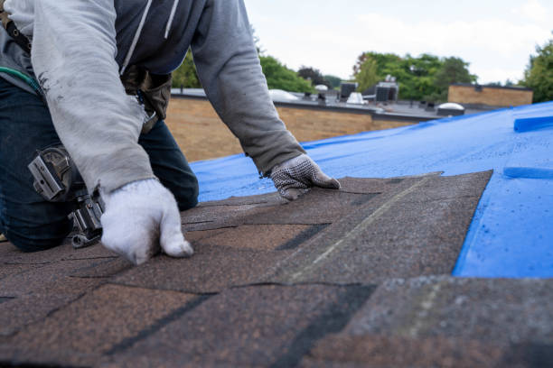 Roof Waterproofing Services in Waverly, VA