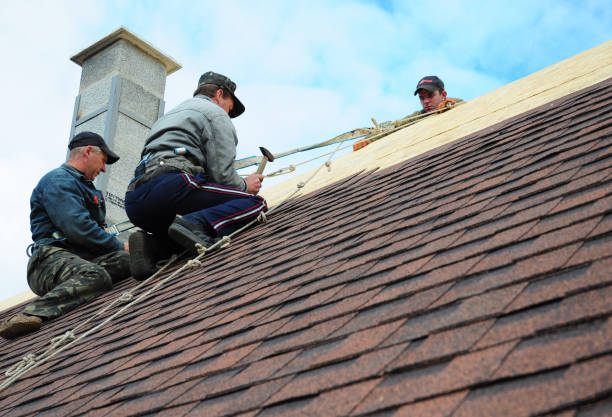 Quick and Trustworthy Emergency Roof Repair Services in Waverly, VA