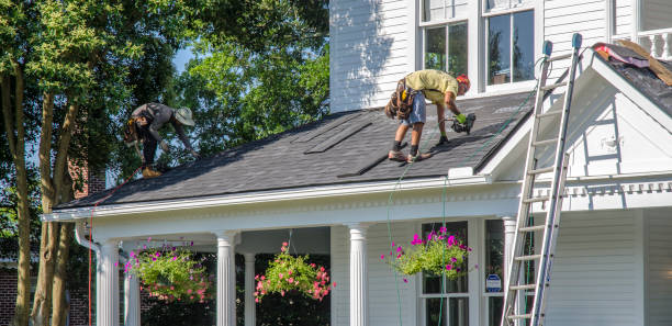 Best Metal Roofing Contractor  in Waverly, VA